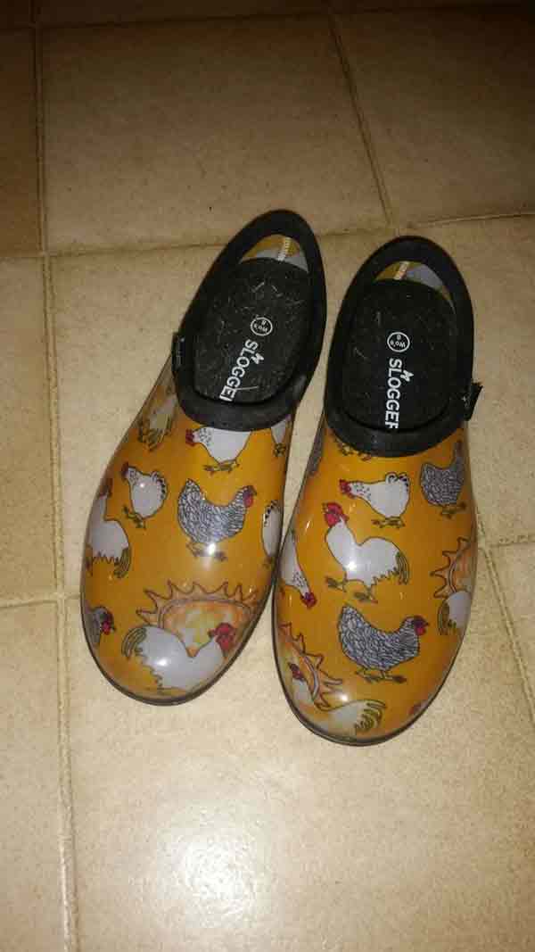 chickenshoes